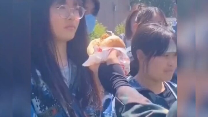 المدرب: أبطئ قليلاً في سحب يدك، فقد تحوّلت إلى هيكل عظمي من كثرة العض!