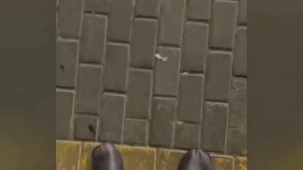 أدى إلى إخراج بوذا نفسه!