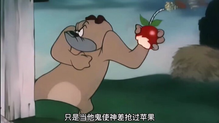 The scruffy dog wants to sleep—but along the way, it hits one setback after another and almost turns