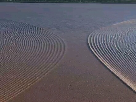 تجربة تداخل الموجات المائية في نهر تشيان تانغ