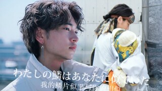 【拉齐亚x宝路 | 剧情向】“你也是位哥哥吗？但我已经没有等我回家的人了”| へび