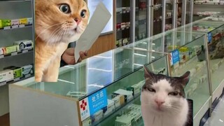 You can actually buy groceries at a pharmacy! The reason turns out to be…...