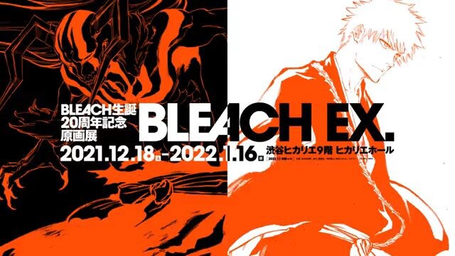 teaser bleach