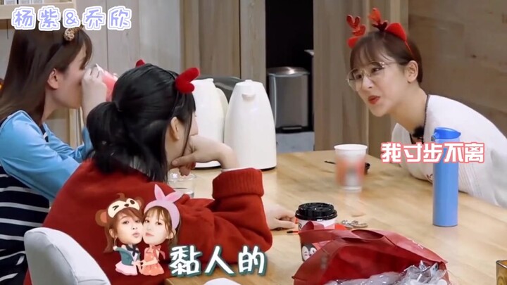 Divine sisterhood in the entertainment industry: Li Yitong and Yang Zi’s epic bestie-bonding session