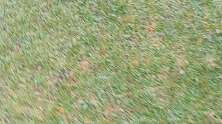 Nature Lover♥️♥️♥️