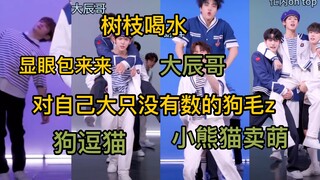 【ZB1】An relay dance can handle 800 tasks! This dog doesn’t realize how big it is…