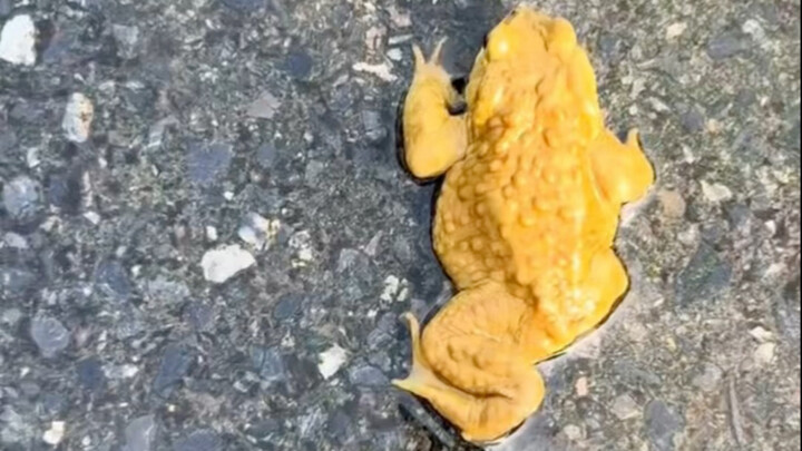 A roundup of must-see viral moments—laughing one minute, crying the next!