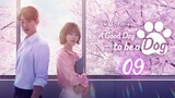 🇰🇷Ep.9 | A GoodDay To Be a Dog [EngSub]