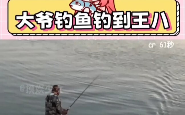 Turtle: I didn’t provoke it. I really didn’t! #FishingHighlightSceane