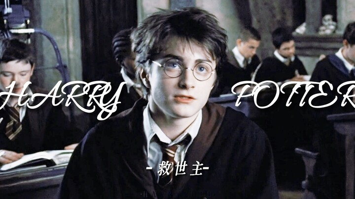 【HP】Little Bean Bag Transforms into Savior!