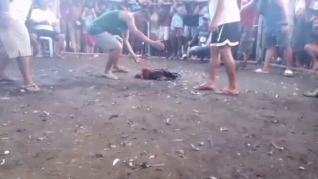 alaga ko