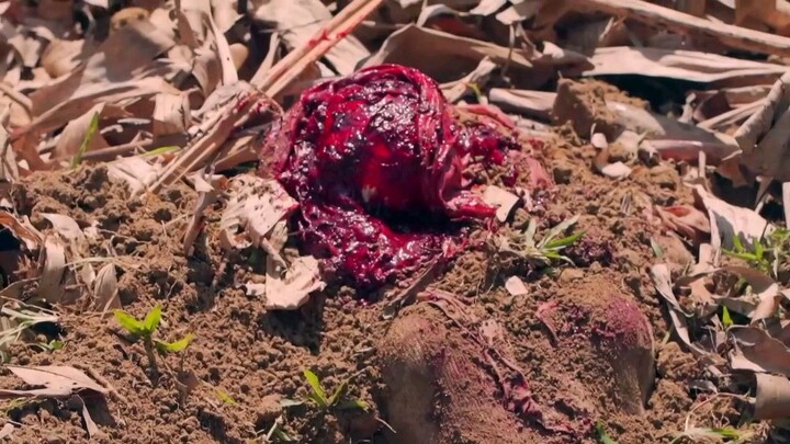 SANTAU PEREMPUAN TERLARANG EP10 ( AKHIR )