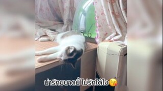 เรื่องราวดีๆในแต่ละวัน