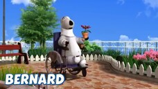 Bernard Bear || The Flower - Cartoon Children