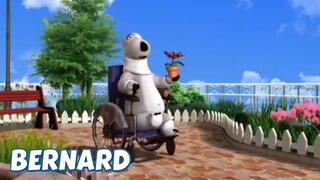 Bernard Bear || The Flower - Cartoon Children