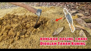 EKSPERIMEN: KUBUR DAGING 40 HARI  part#2