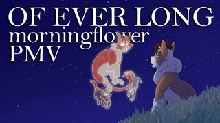 OF EVERLONG | Morningflower PMV