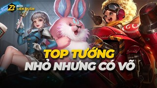 Top Tướng Nhỏ Mà Có Võ | Box Liên Quân
