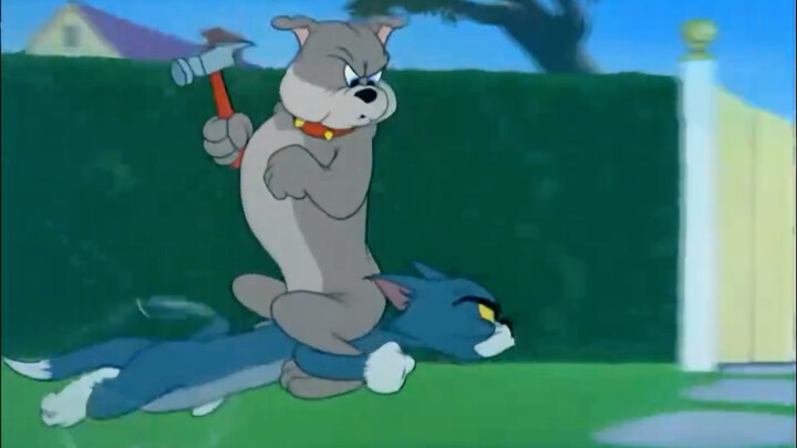 Hilarious, haha, running with Brother Dog on my back