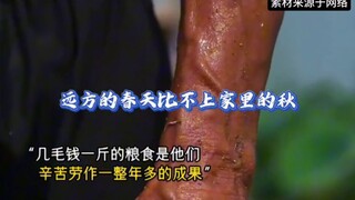 Gandum telah matang ribuan kali, baru kali ini petani berseru "Hidup Raja!"