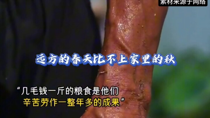 The wheat has ripened thousands of times, but this is the first time farmers have shouted "Long live