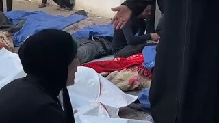 Zi*nis Isr*el telah menewaskan banyak korban jiwa di Palestina setelah kesepakatan senjata usai