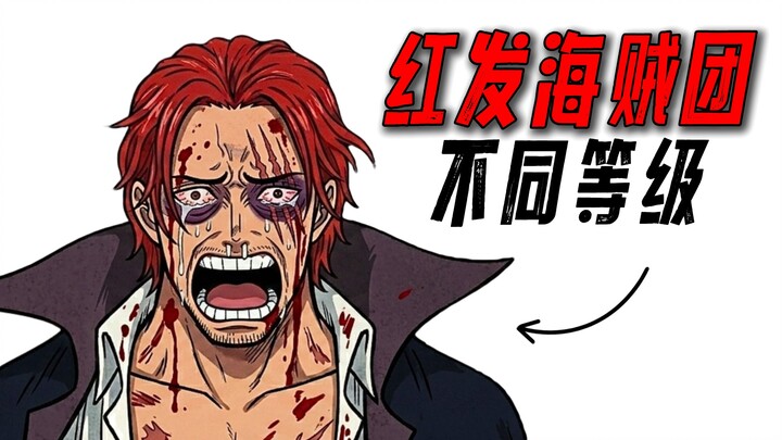 Experience life at different ranks within the Red-Haired Pirates!