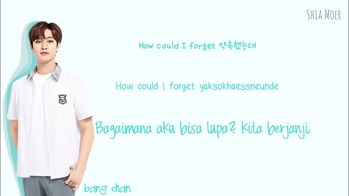 Bang Chan - Don't Want To Acknowledge [Han/Rom/Ina] Color Coded Lyrics | Lirik Terjemahan Indonesia