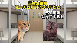 当舍友得知，我一天就涨到了100万粉丝