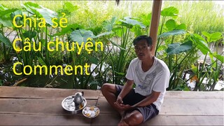 71 | Quê Hương Miền Tây | khám Phá | Săn Bắt | Ẩm Thực | Chia sẻ câu chuyện comment