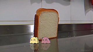 Peak Bocchi Comedi