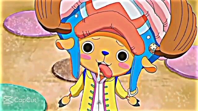 introducing the straw hat pirates