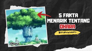 5 Fakta Menarik Tentang Pulau OHARA | Masalalu Niko Robin 🔥