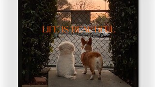 感觉自己活过来了💗