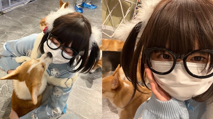 “ฉันโดนหมาตีเละ!”