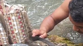 Hatkela Fishing in Nepal | Bare Hand Fishing | Himalayan Trout Fishing |