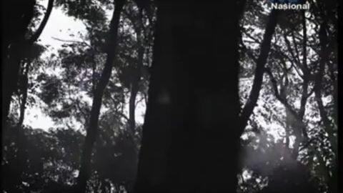 Kompilasi Station ID Indonesia 2012