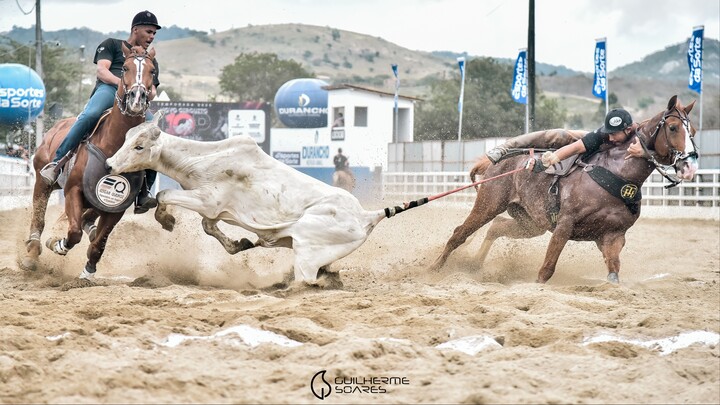 This is Vaquejada 🇧🇷🐎 | Brazilian Horse Sport