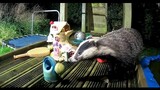 When Animals Come Out to Play | Adorable British Wildlife on this Children's Jungle Gym