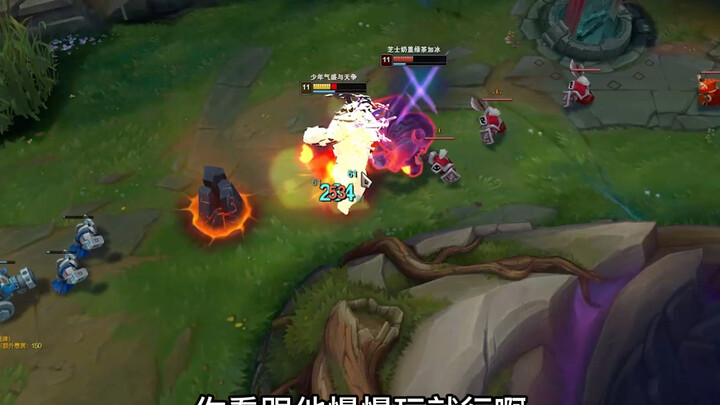 土拨鼠挖坟