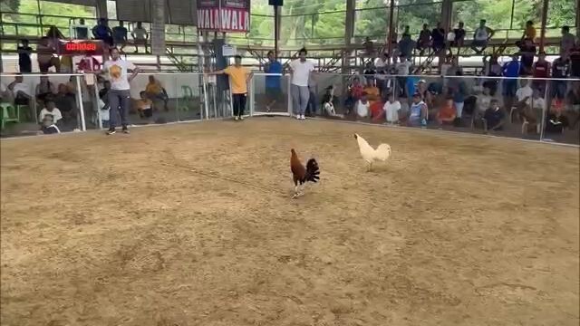 machine hatch loss maayo pud kunrta @ El Salvador Arena