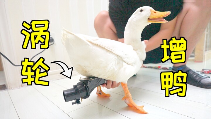 To teach a landlubber to swim, a turbine was installed on the duck! Direct turbo boost!