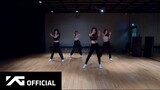 BLACKPINK '뚜두뚜두 (DDU-DU DDU-DU)' DANCE PERFORMANCE VIDEO
