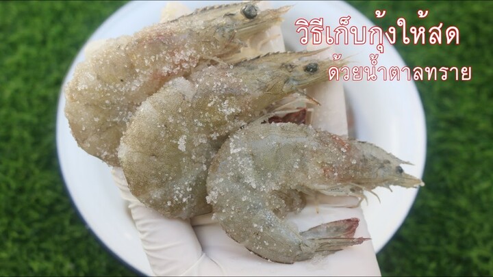 เก็บกุ้งให้สดด้วยน้ำตาลทราย วิธีนี้ดีมาก เก็บได้นานเป็นเดือน กุ้งยังสด ไม่เสียรสชาติ ไม่ติดเป็นแพ