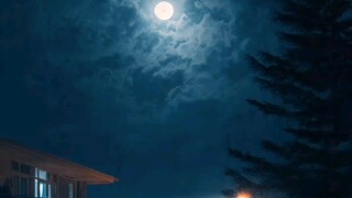 moonlight fever sobre a luz do luar 🌙