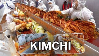 Amazing Korean Kimchi Mass Production in Factory / Korean Food Factory - Kimchi Process - 韓国キムチ