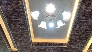 plafon pvc