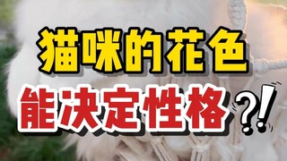 猫咪性格好不好？看颜色就知道！