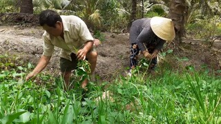 Rau Muống Xào Tỏi Chấm Ba Khía Trộn Chanh Đường Ăn Sạch Nồi Cơm| TKQ & Family T602