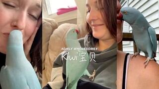 I want a kiss from my Kiwi baby!